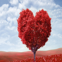 慈善 | 百老泉家人援助上海患病店主渡難關(guān)